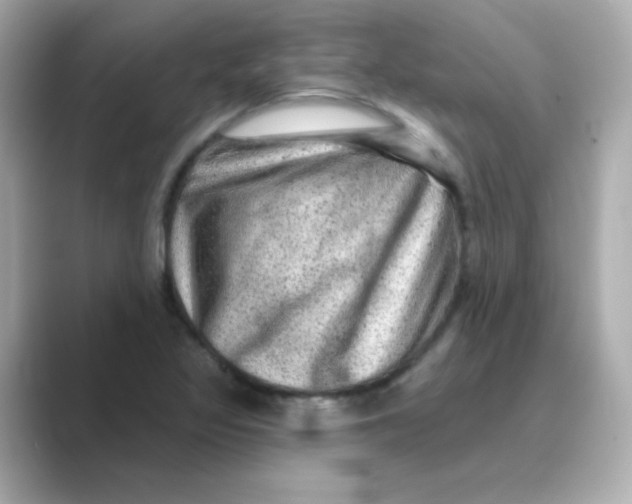 X0000088671317200706211844