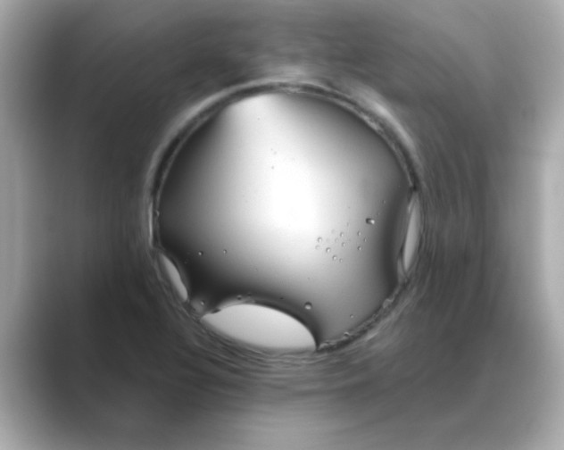 X0000088671320200706211844