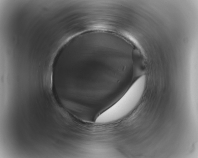 X0000088671323200706211844