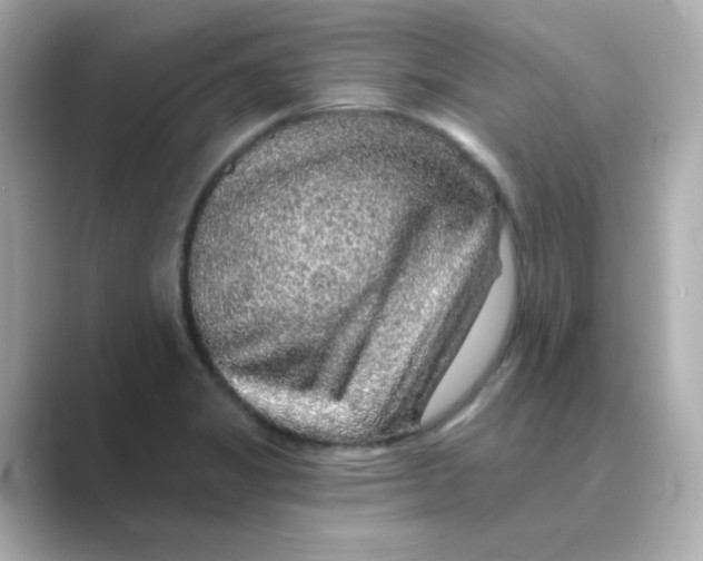 X0000088671325200706211844