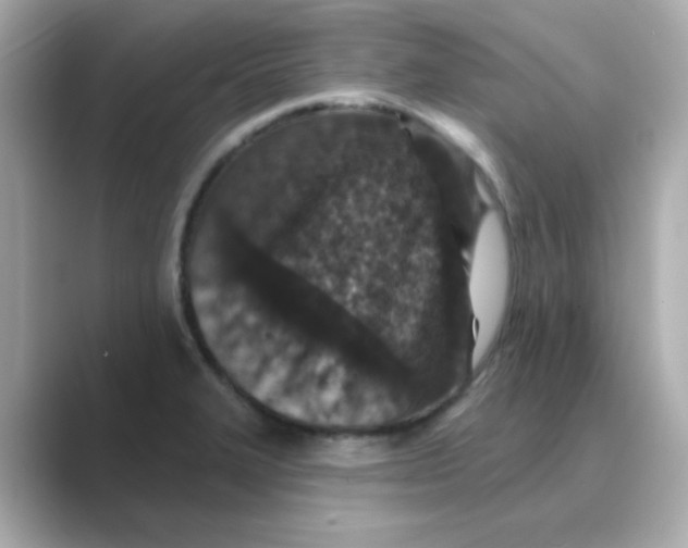 X0000088671327200706211844