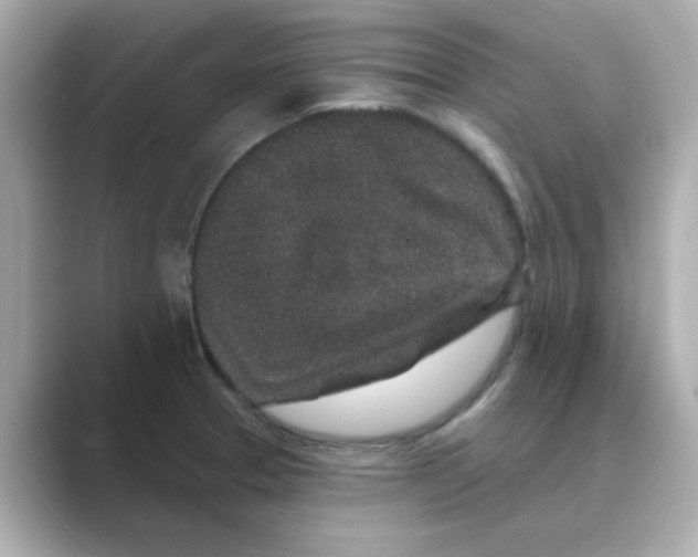 X0000088671329200706211844