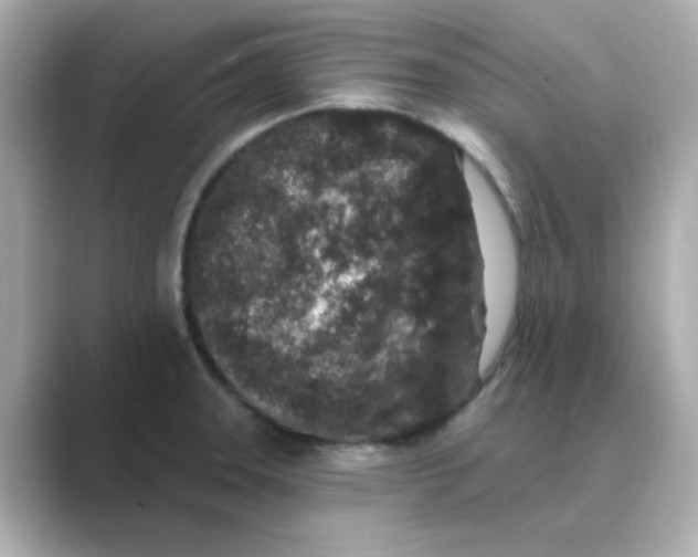 X0000088671331200706211844