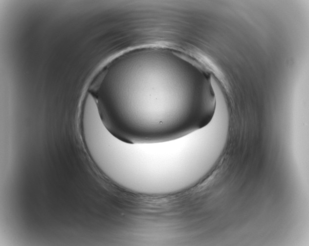 X0000088671332200706211844