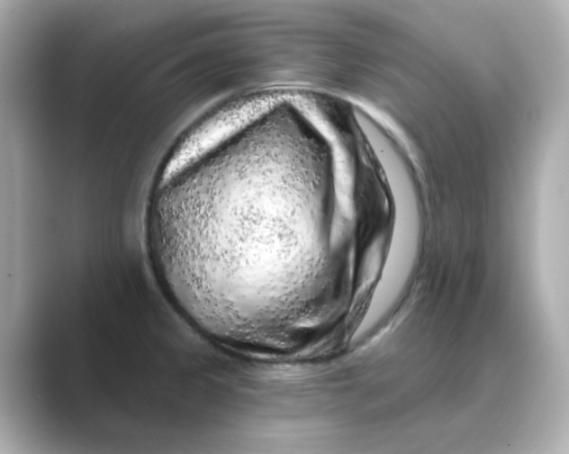X0000088671333200706211844