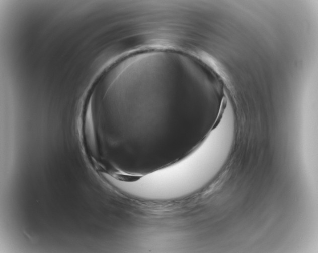 X0000088671334200706211844