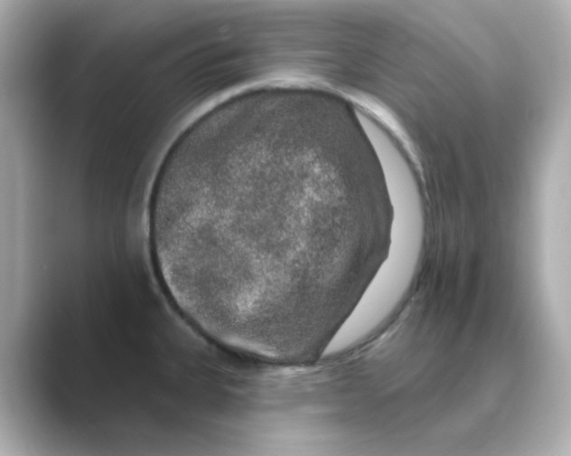 X0000088671335200706211844