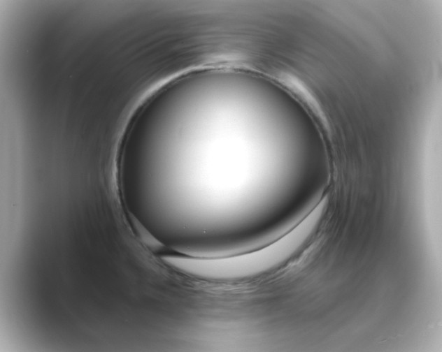 X0000088671336200706211844