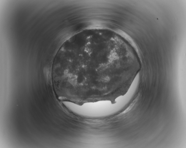 X0000088671337200706211844