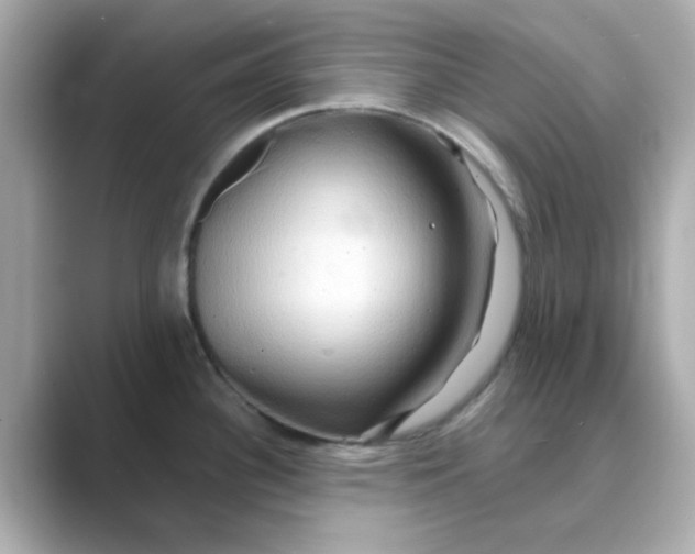 X0000088671340200706211844