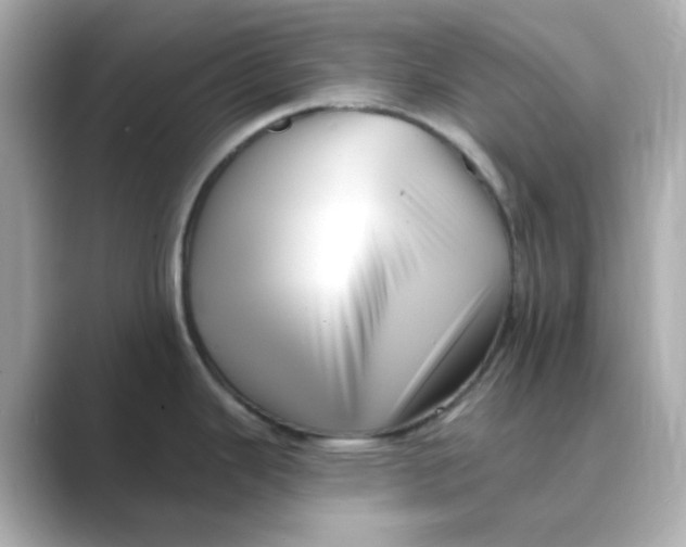 X0000088671343200706211844