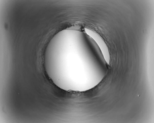X0000088671345200706211843