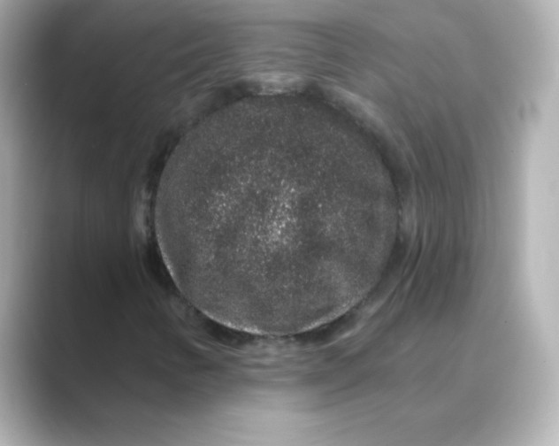 X0000088671346200706211843