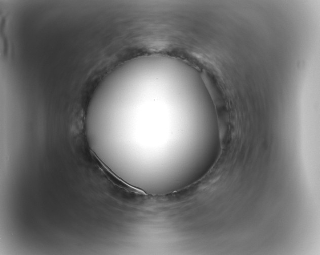 X0000088671349200706211843