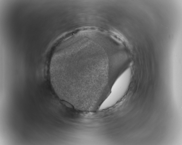 X0000088671352200706211843