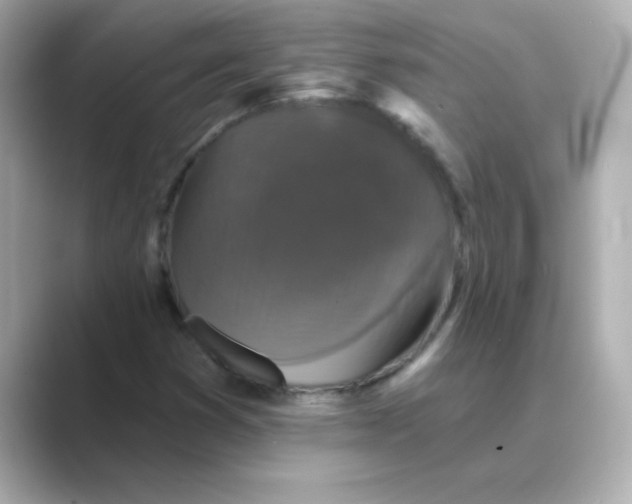 X0000088671353200706211843