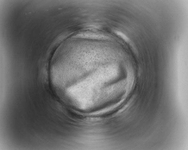 X0000088671354200706211843