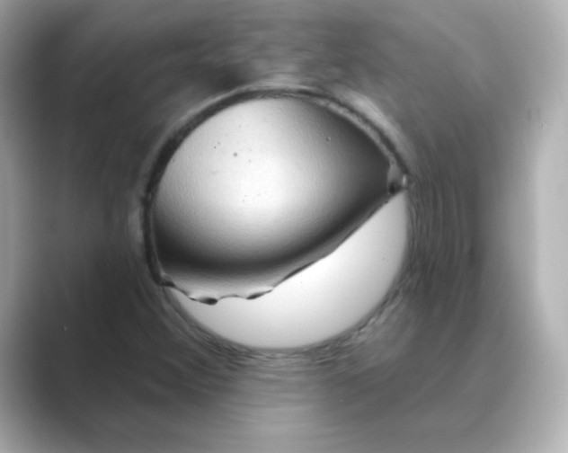X0000088671356200706211843