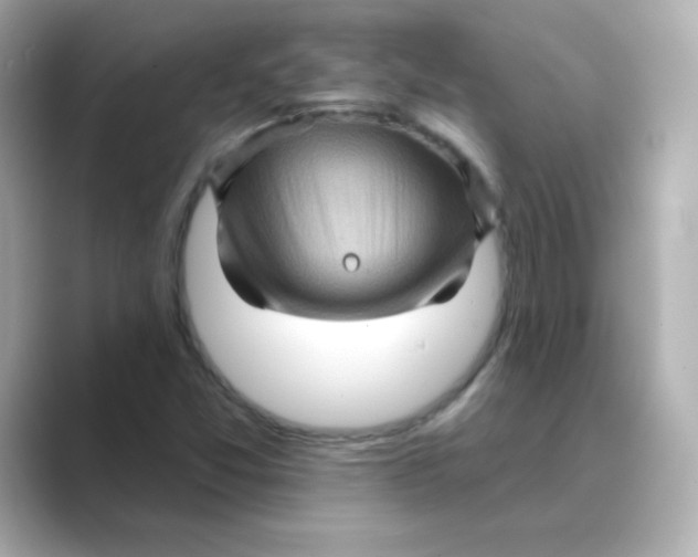 X0000088671357200706211843