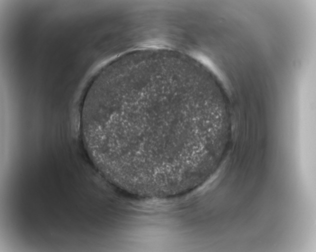 X0000088671358200706211843
