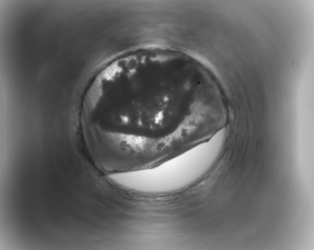 X0000088671359200706211843