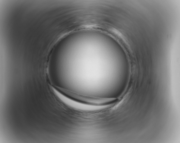 X0000088671361200706211843