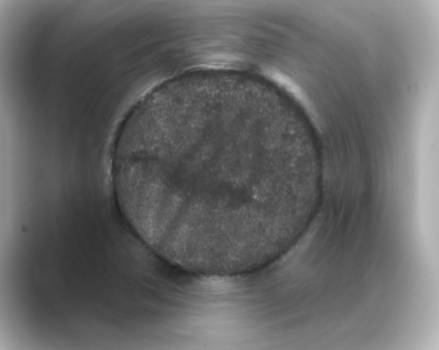 X0000088671362200706211843