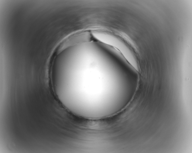 X0000088671364200706211843