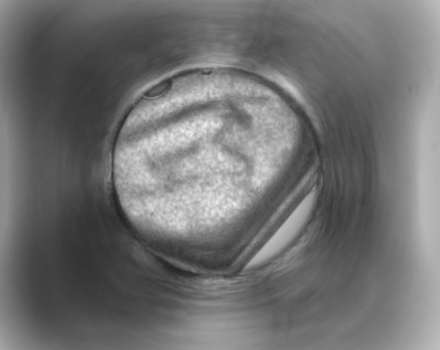 X0000088671366200706211843