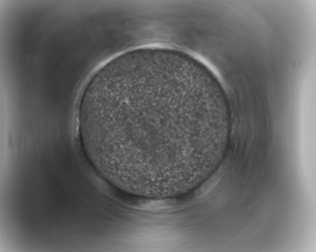 X0000088671367200706211843