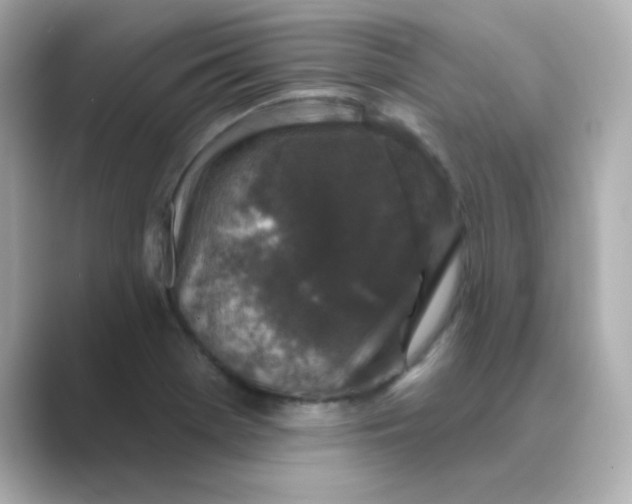 X0000088671369200706211843