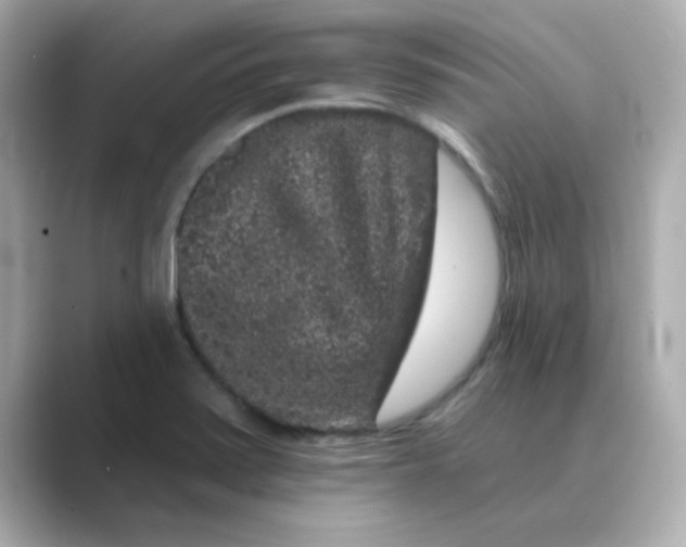 X0000088671371200706211843