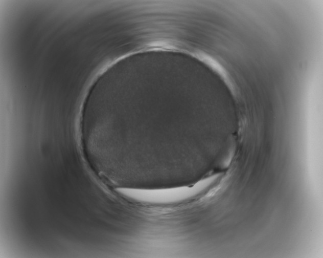 X0000088671373200706211843