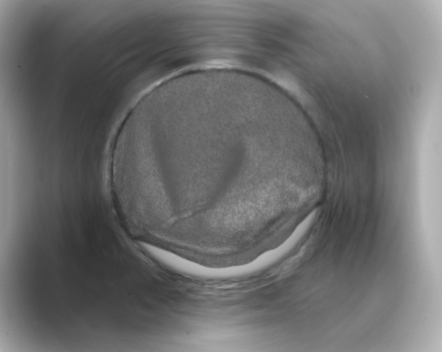 X0000088671374200706211843