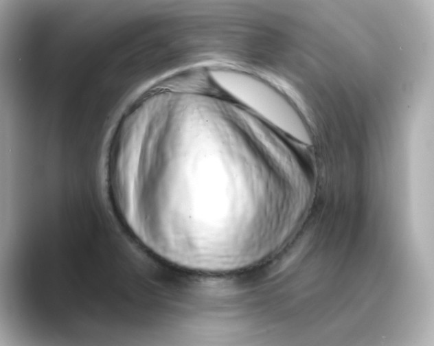 X0000088671375200706211843