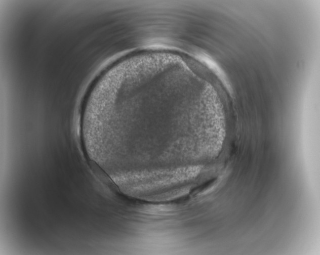 X0000088671376200706211843