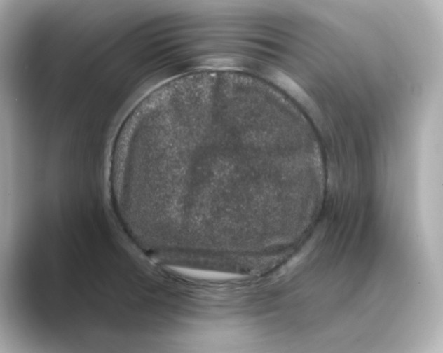 X0000088671378200706211843