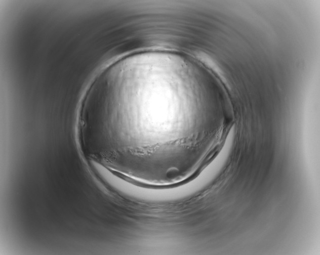 X0000088671379200706211843