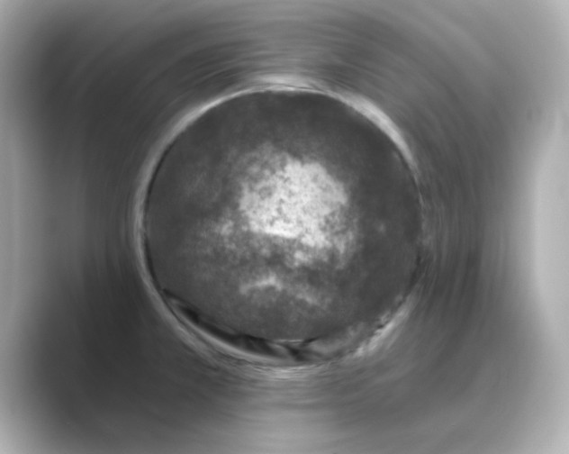 X0000088671381200706211843