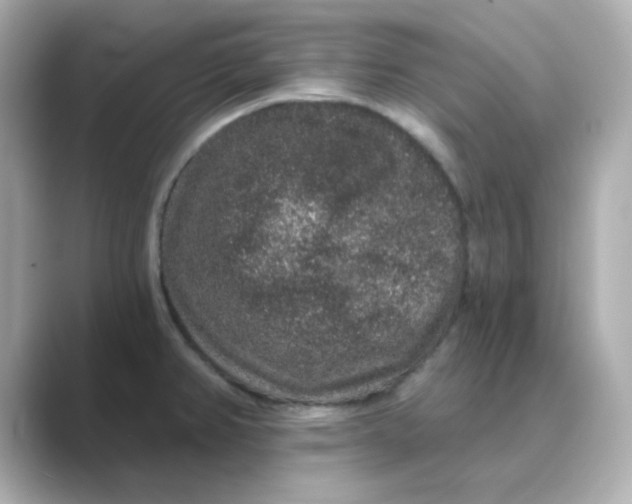X0000088671382200706211843
