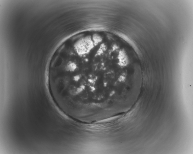 X0000088671383200706211843