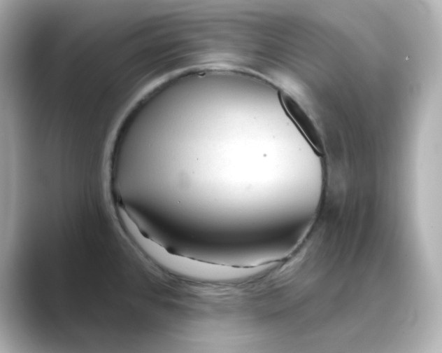 X0000088671384200706211843