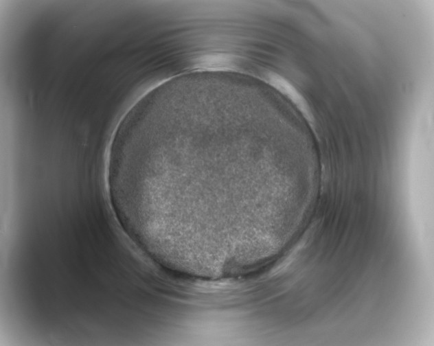 X0000088671386200706211843