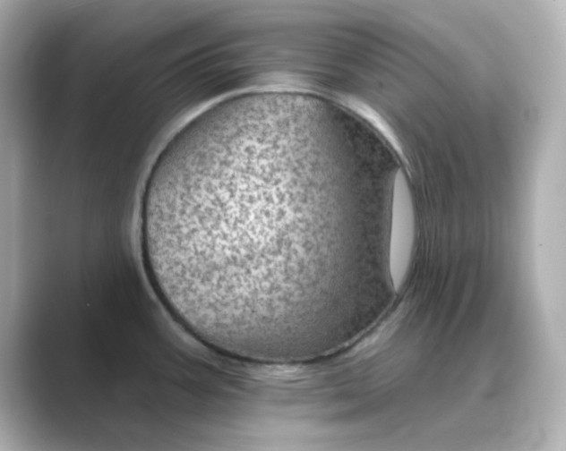 X0000088671387200706211843