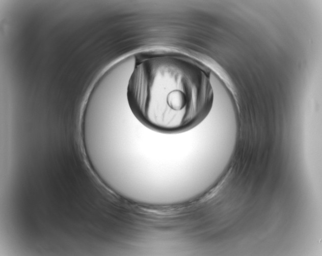 X0000088671388200706211843