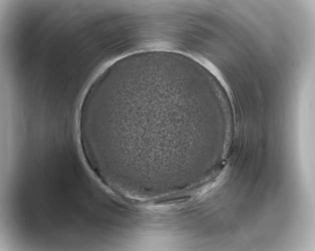 X0000088671389200706211843