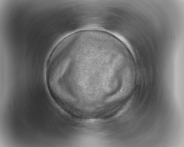 X0000088671390200706211843