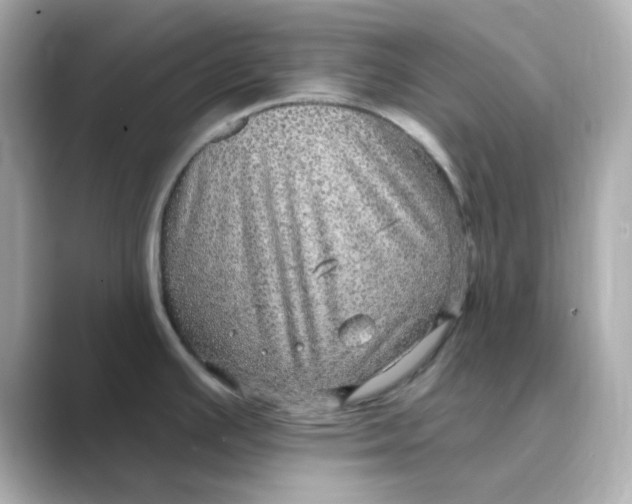 X0000088671391200706211843