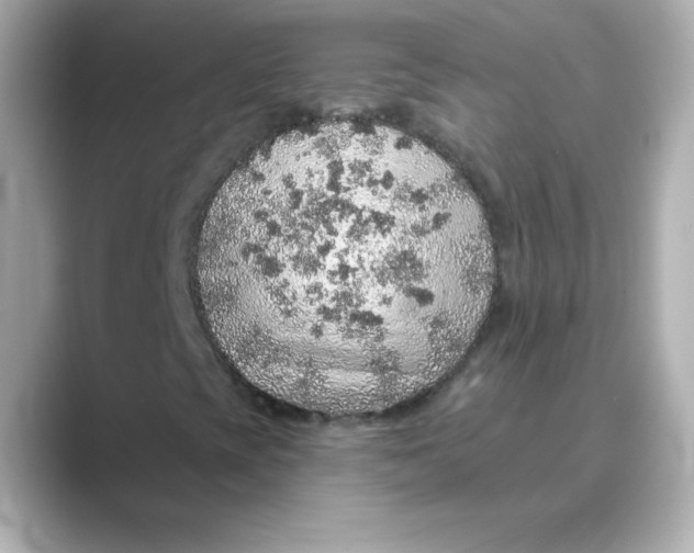 X0000088671393200706211842