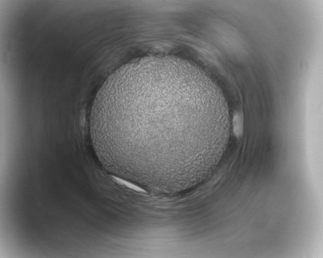 X0000088671395200706211842